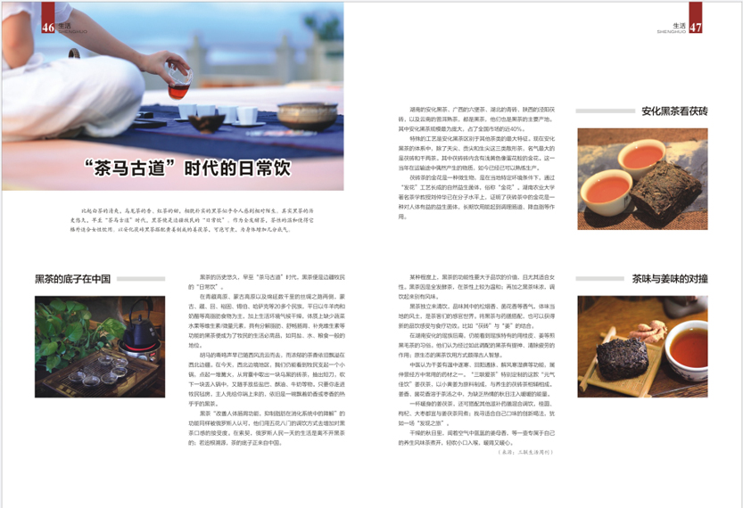 《南昌卫生健康》2020年第四期