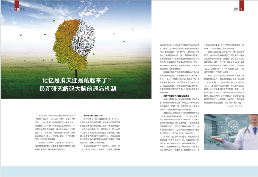《南昌卫生健康》2021年第二期