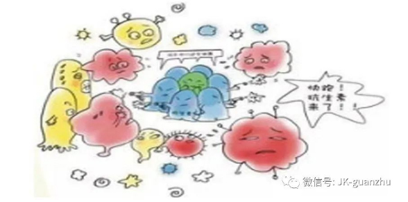 粗粮食用过度会有哪些坏处？